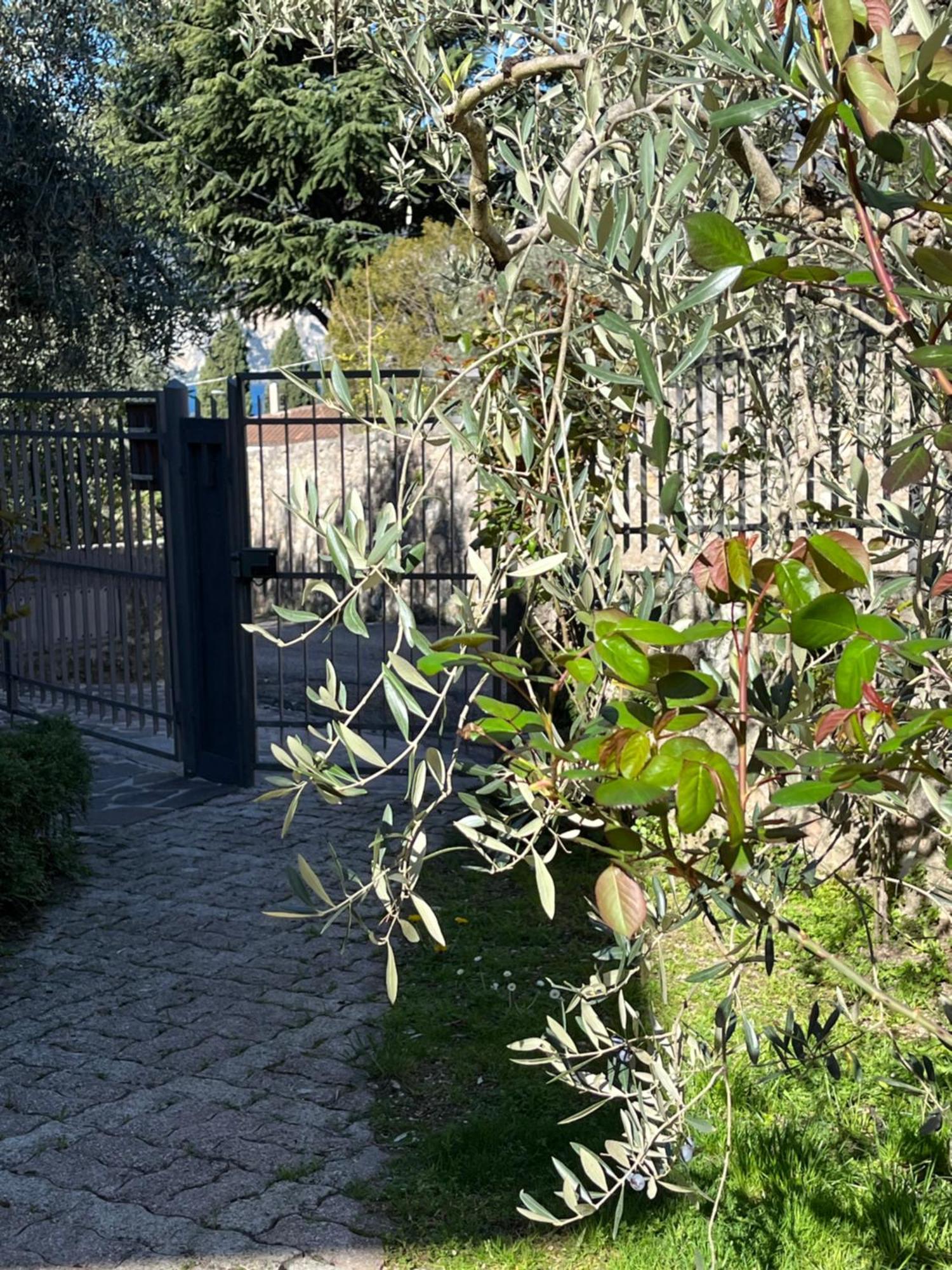 Casa Noario Leilighet Malcesine Eksteriør bilde